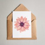 Gerbera