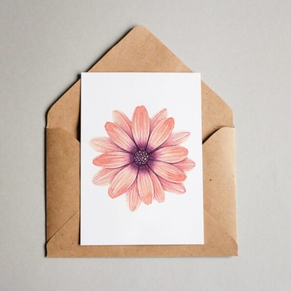 Gerbera – Bild 1