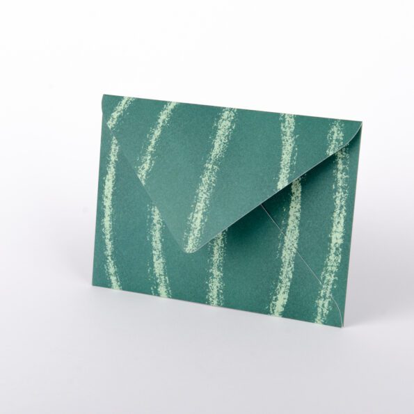 Wassermelone – Bild 3